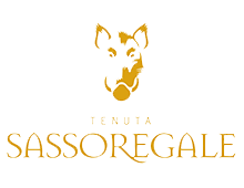 Sassoregale