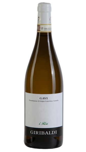 Winehouse24 Gavi DOCG 2023